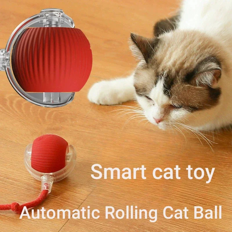 Pet Smart Interactive Ball Rechargeable Cat - ProPawPet.com