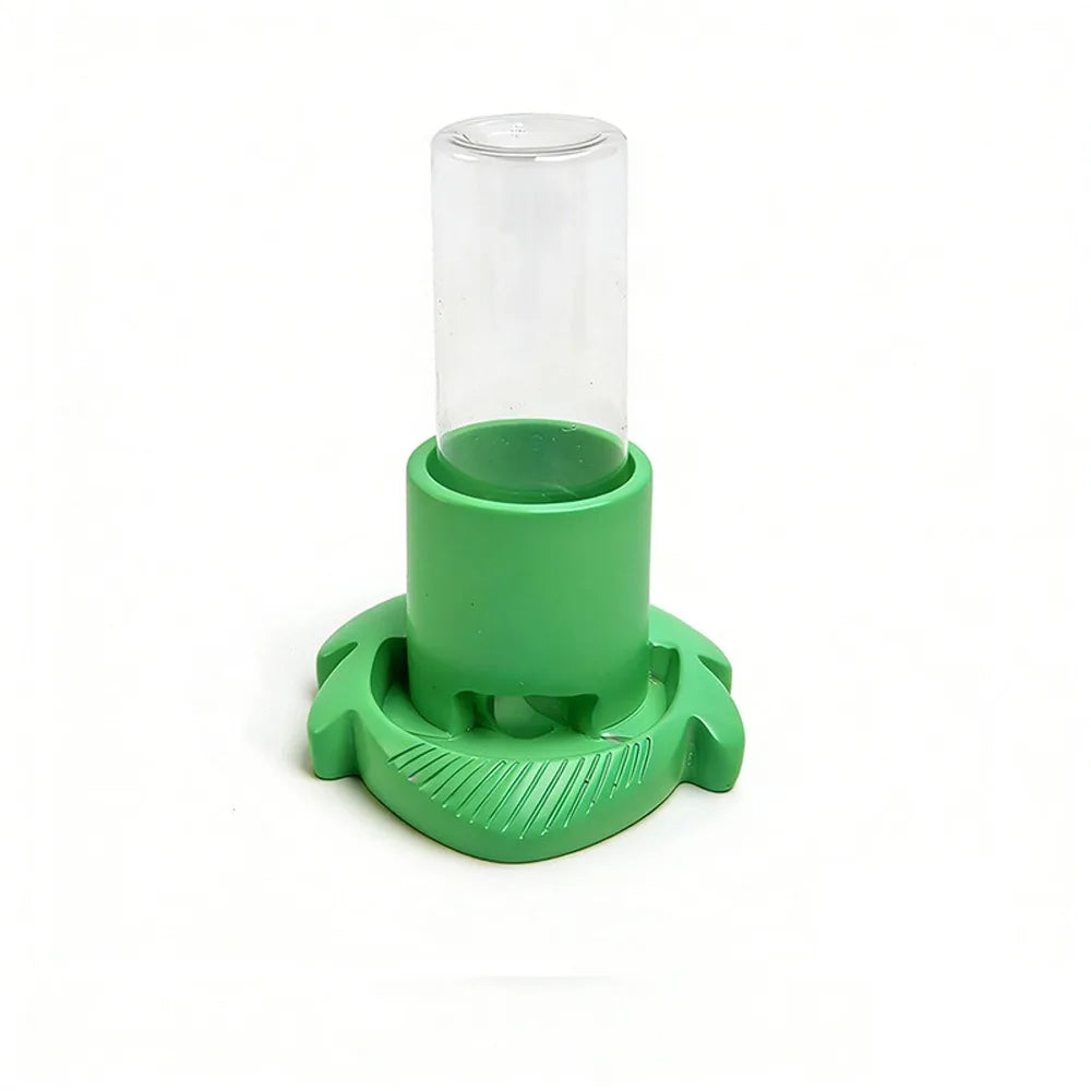 Plastic Reptiles Water Feeder Removable - ProPawPet.com