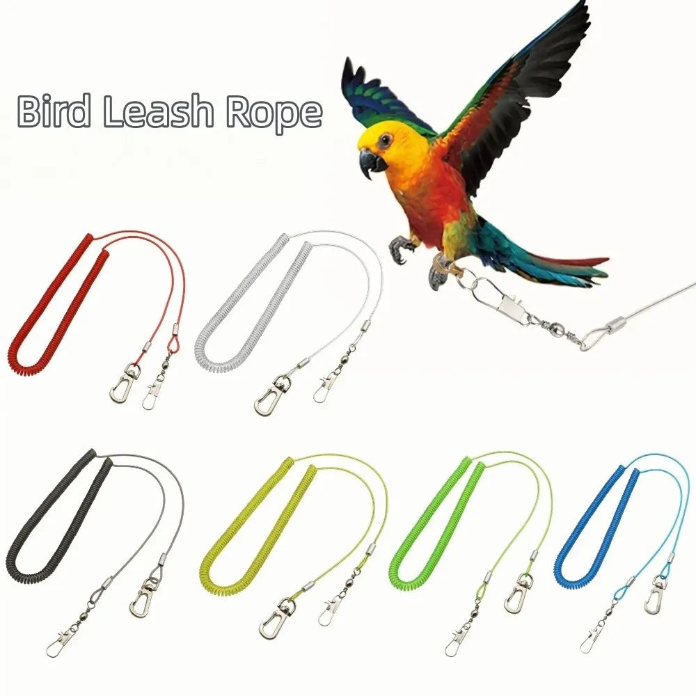 Ultra-light Parrot Training Leash 3/5m - ProPawPet.com
