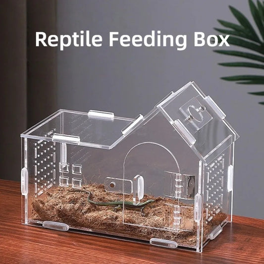 New Acrylic Reptile Habitat Clear Ventilated - ProPawPet.com