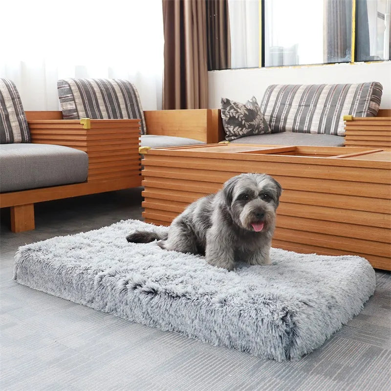Ultra Plush Deluxe Orthopedic Foam Dog Bed - ProPawPet.com
