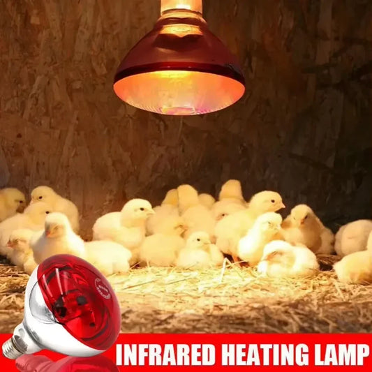 1PC 100W/150W/200W/250W/275W Farm Thermal - ProPawPet.com