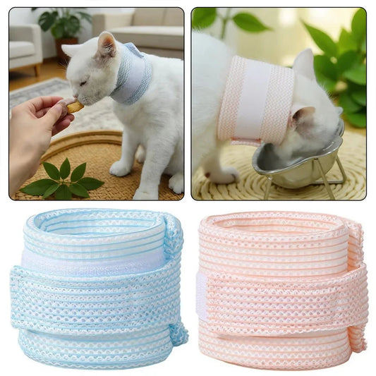 Cat Anti-lick Neck Collar For Skin - ProPawPet.com