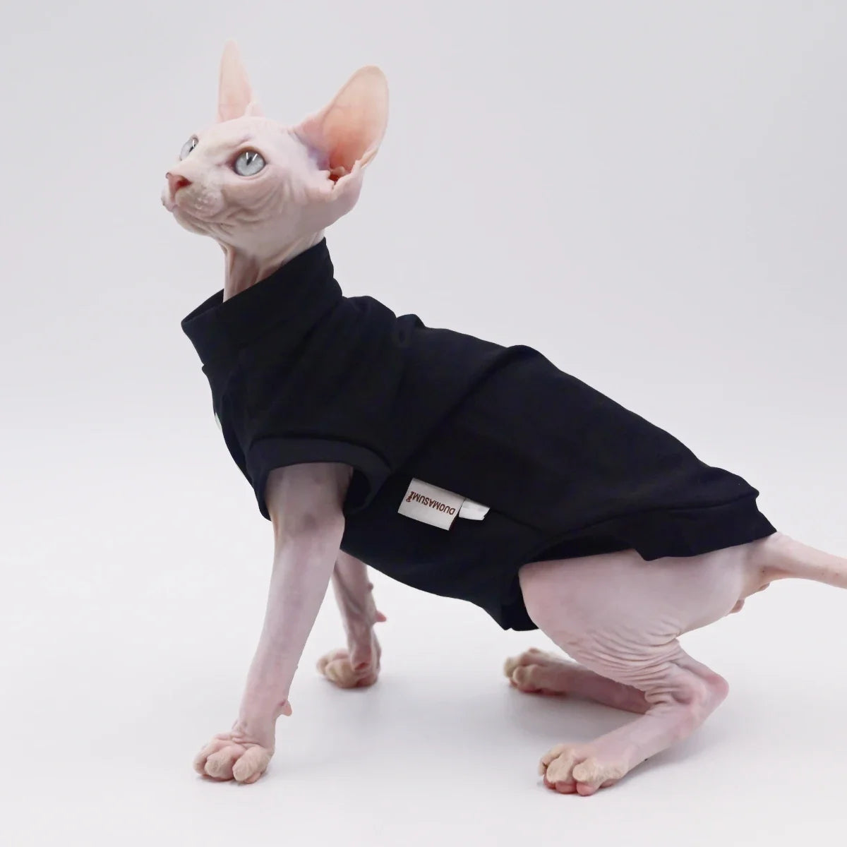 Cooling Duomasumi Summer Cat Vest for Hairless Breeds Stretch Cotton – photo 8