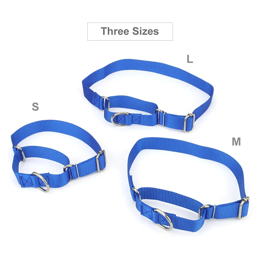 Martingale Collar for Dogs，Dog Collar with - ProPawPet.com