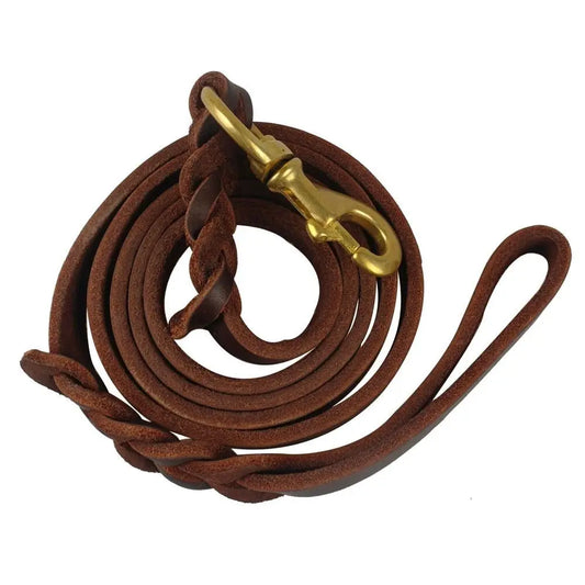 Training Walking With Copper Hook Leather - ProPawPet.com