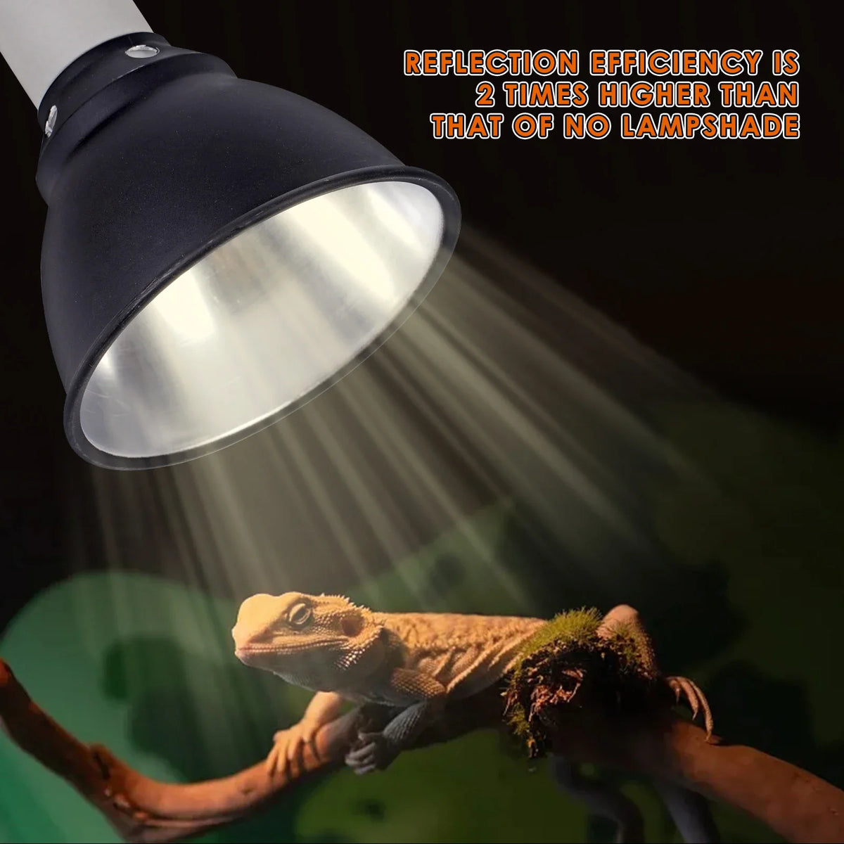 New Pet Reptile Heating Lamp Set - ProPawPet.com