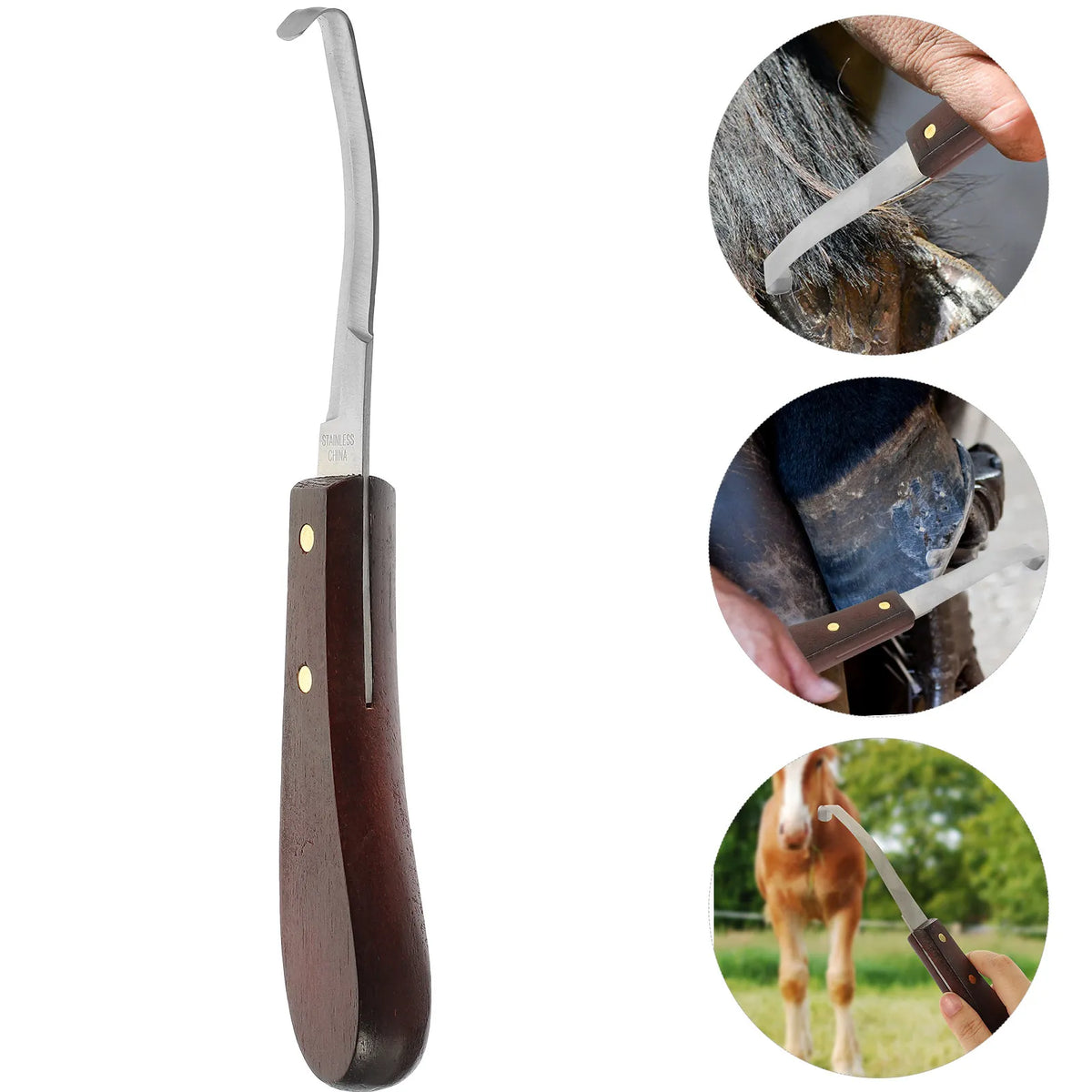 Stainless Steel Blade Hoof Cutter with Solid - ProPawPet.com
