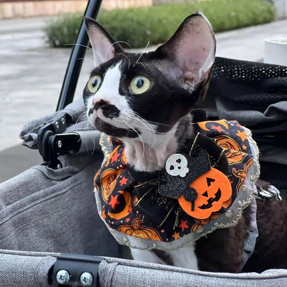 Cute and Soft Cat Dog Pet Necklace Halloween - ProPawPet.com