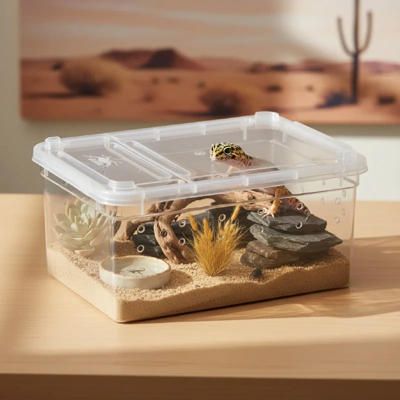 Reptile Breeding Box Transparent Clear - ProPawPet.com