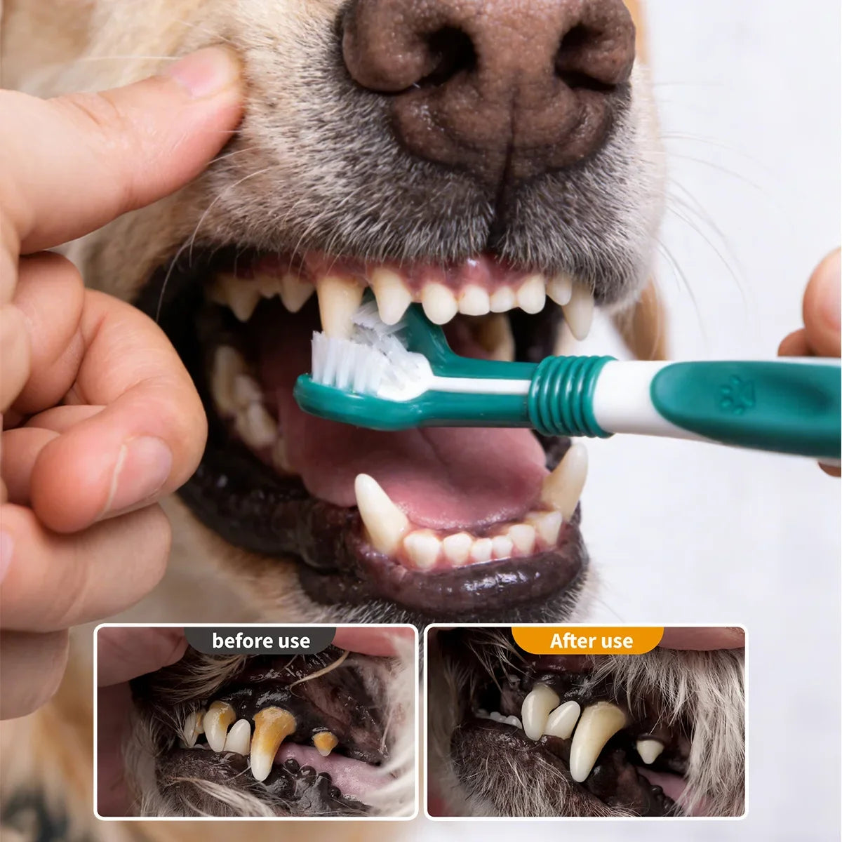 3-Sided Pet Toothbrush Dog Plastic - ProPawPet.com