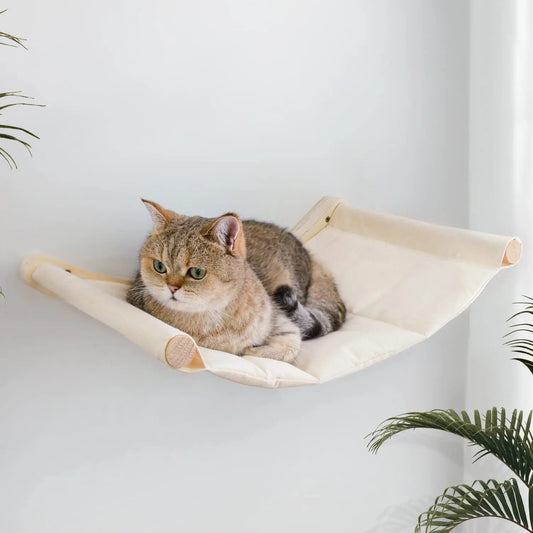 Cat Hammock Bed Wall Mounted Climbing Cats - ProPawPet.com