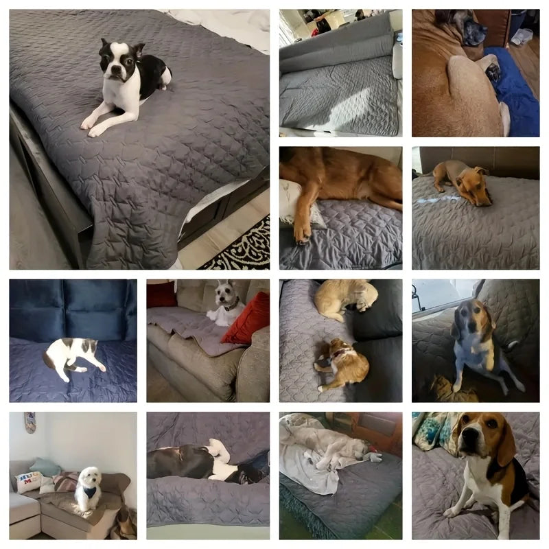 Large Waterproof Pet Mattress - Furniture - ProPawPet.com