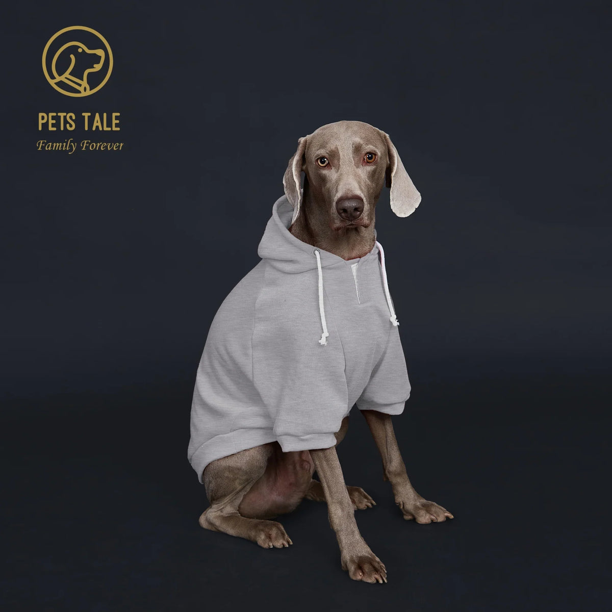 Solid Color Dog Hoodie with Pocket, Leather - ProPawPet.com