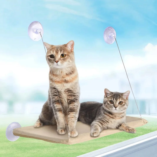 20kg Capacity Cat Hammock with Rock Climbing - ProPawPet.com
