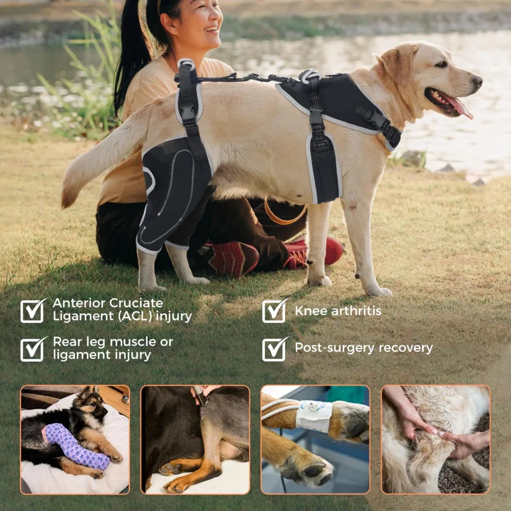 Reduces Pain Hind Leg Dog Leg Brace - ProPawPet.com