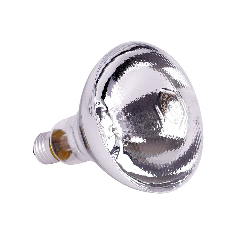 220V Heating Light Bulb Poultry Reptile - ProPawPet.com