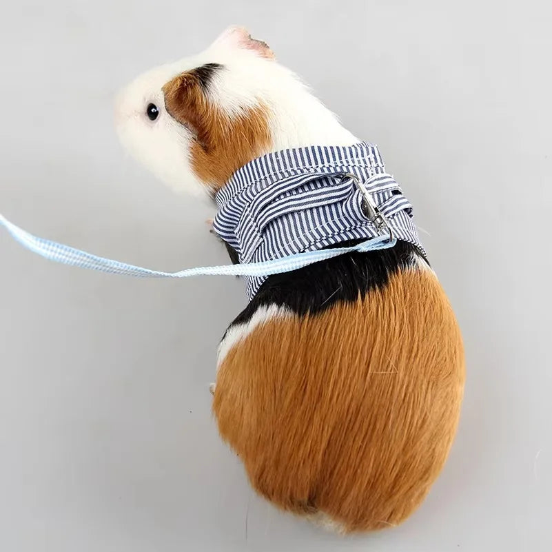 Small Pets Chest Strap Outdoor Traction Rope - ProPawPet.com