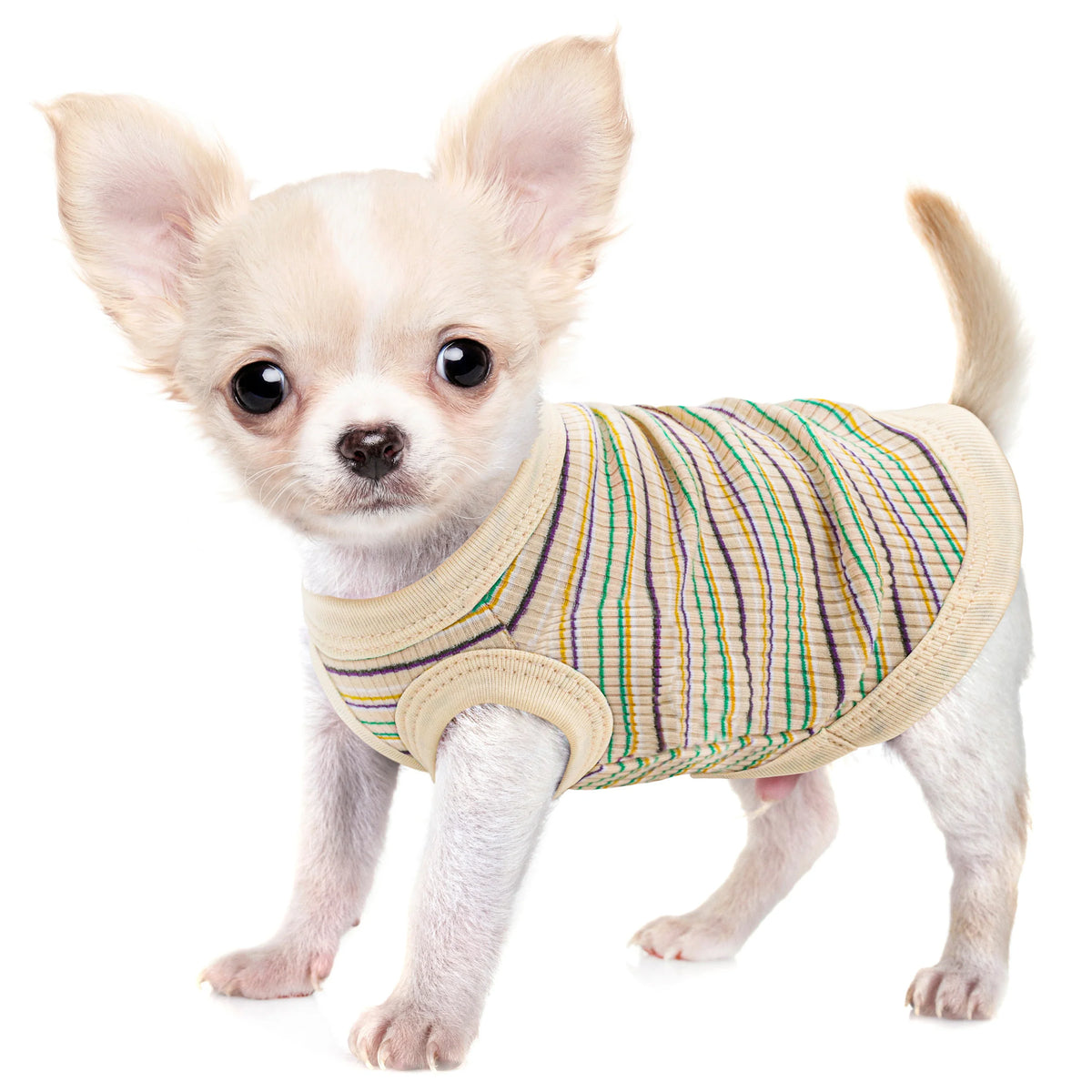 Rib Dog Shirt Vest for Small Dogs Chihuahua - ProPawPet.com