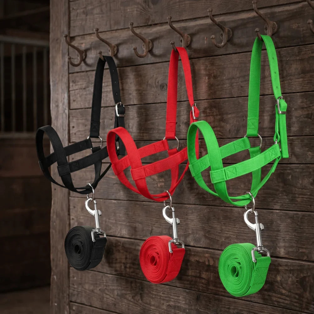 Adjustable Cow Halter with Lead Nylon Heavy - ProPawPet.com
