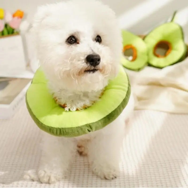 Toast Avocado Soft Elizabethan Collar for - ProPawPet.com