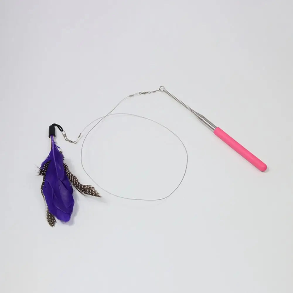 Retractable Cat Wand Pole Stainless Steel - ProPawPet.com