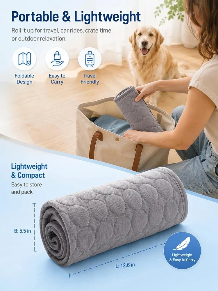 Summer Cats Dogs Cooling Ice Mat Pet Ice - ProPawPet.com