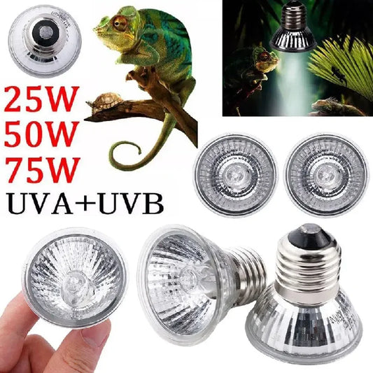 20/50/75W Heat Lamp UVA UVB Reptile Constant - ProPawPet.com