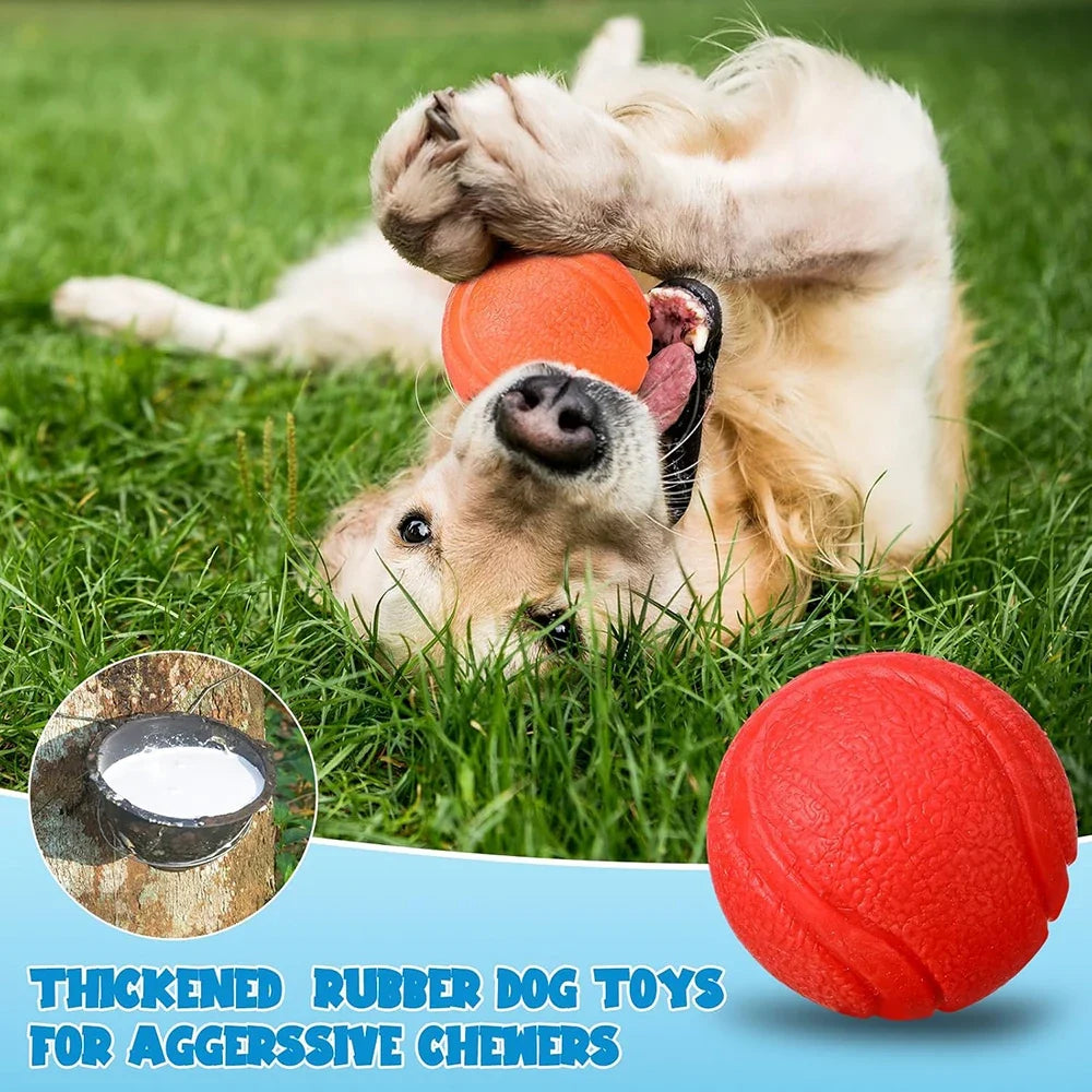 Pet Solid Elastic Toy Ball Cat/Dog Toy Ball - ProPawPet.com