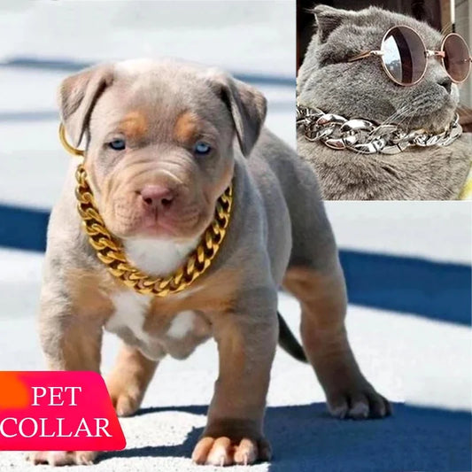 Pet Necklace Medium and Small Dog Collar - ProPawPet.com