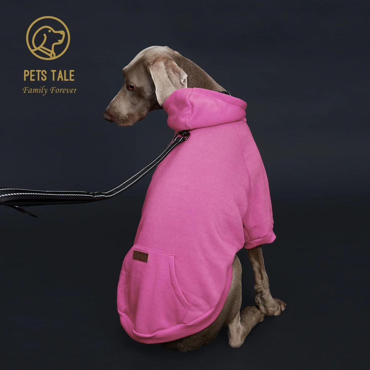 Solid Color Dog Hoodie with Pocket, Leather - ProPawPet.com