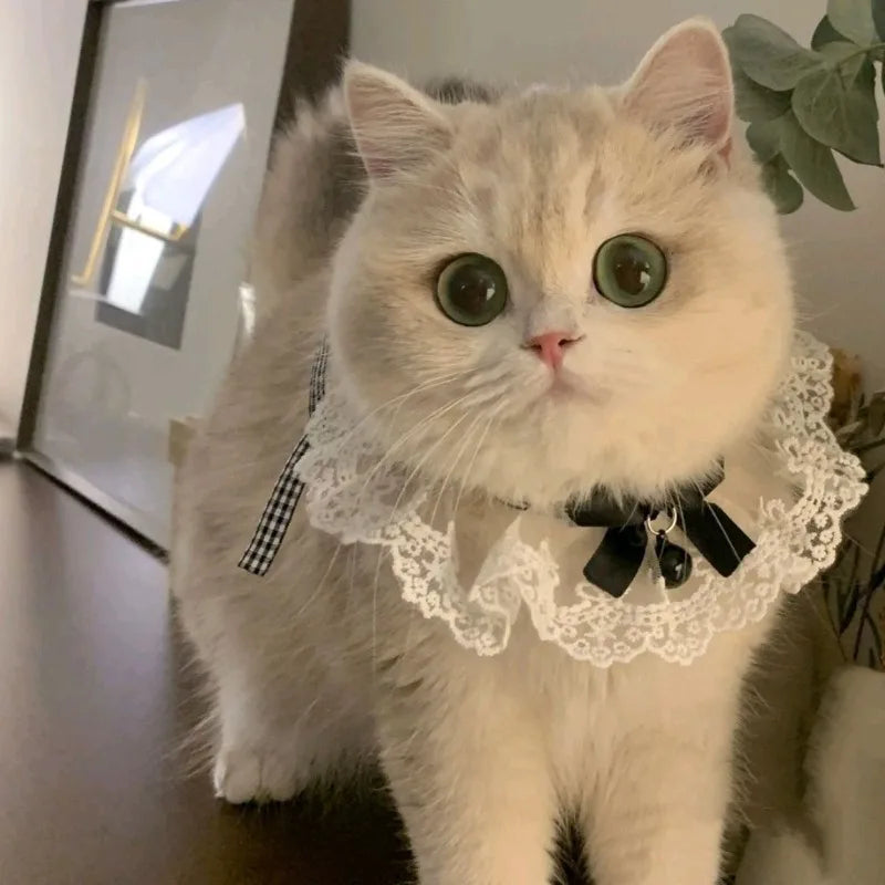 Cat Dog Collar Silk Wedding Cat Puppy Ribbon - ProPawPet.com