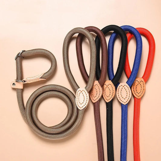 Dog Leash Slip Rope Lead Leash Heavy Duty - ProPawPet.com