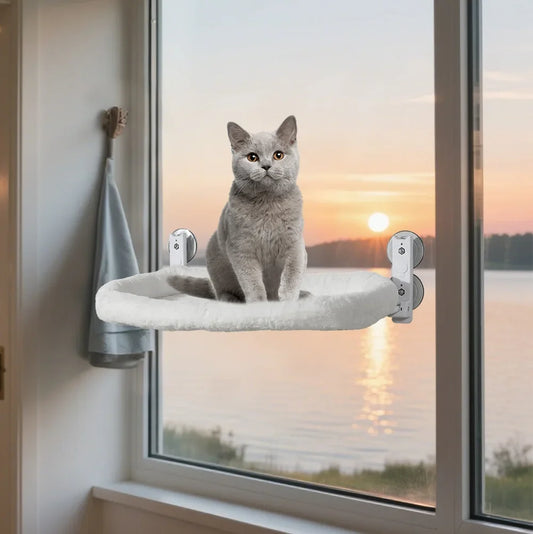 Foldable Metal Frame Cat Window Hammock - ProPawPet.com