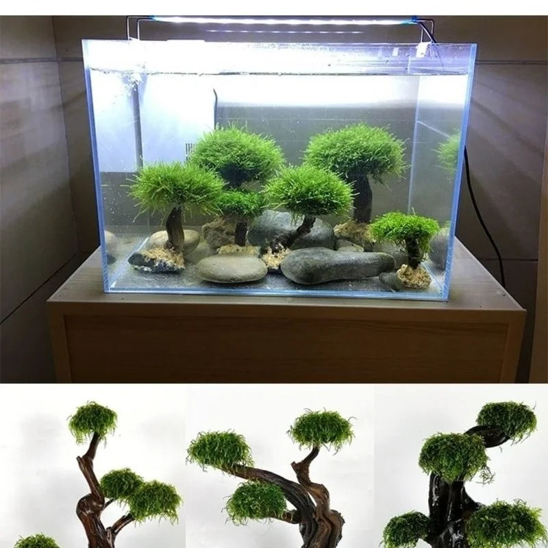 Aquarium Moss Tree Sponge Stainless Steel - ProPawPet.com
