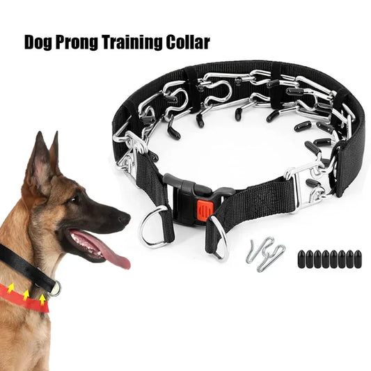 Dog Training Collar Prong Collar with Quick - ProPawPet.com