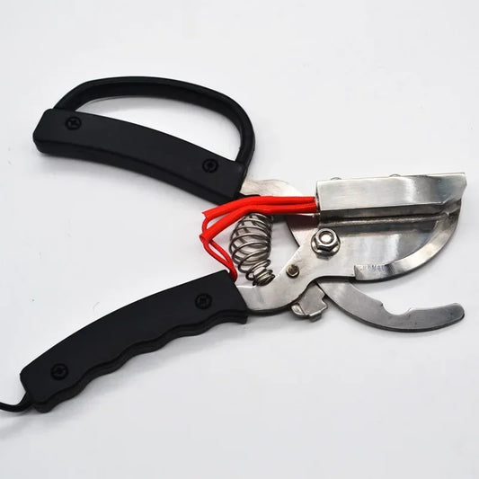 Pig Piglet Electric Tail Forceps Hemostatic - ProPawPet.com