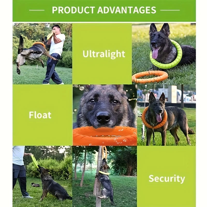 Floating Water Dog Toys Pet Flying Disk - ProPawPet.com