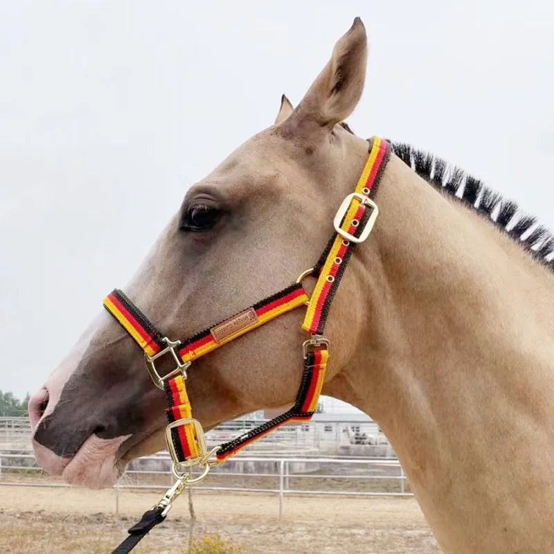 Horse Halter Protective Padded Adjustable - ProPawPet.com