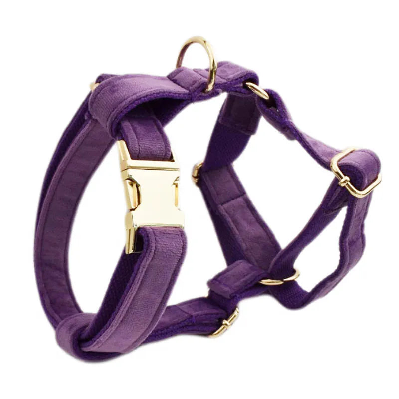 Purple Velvet Dog Collar And Leash Set For - ProPawPet.com