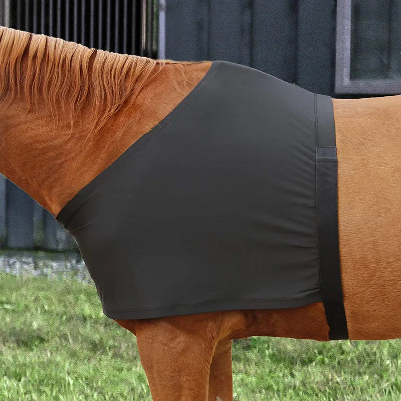 High Elastic Horse Chest Protectors - ProPawPet.com