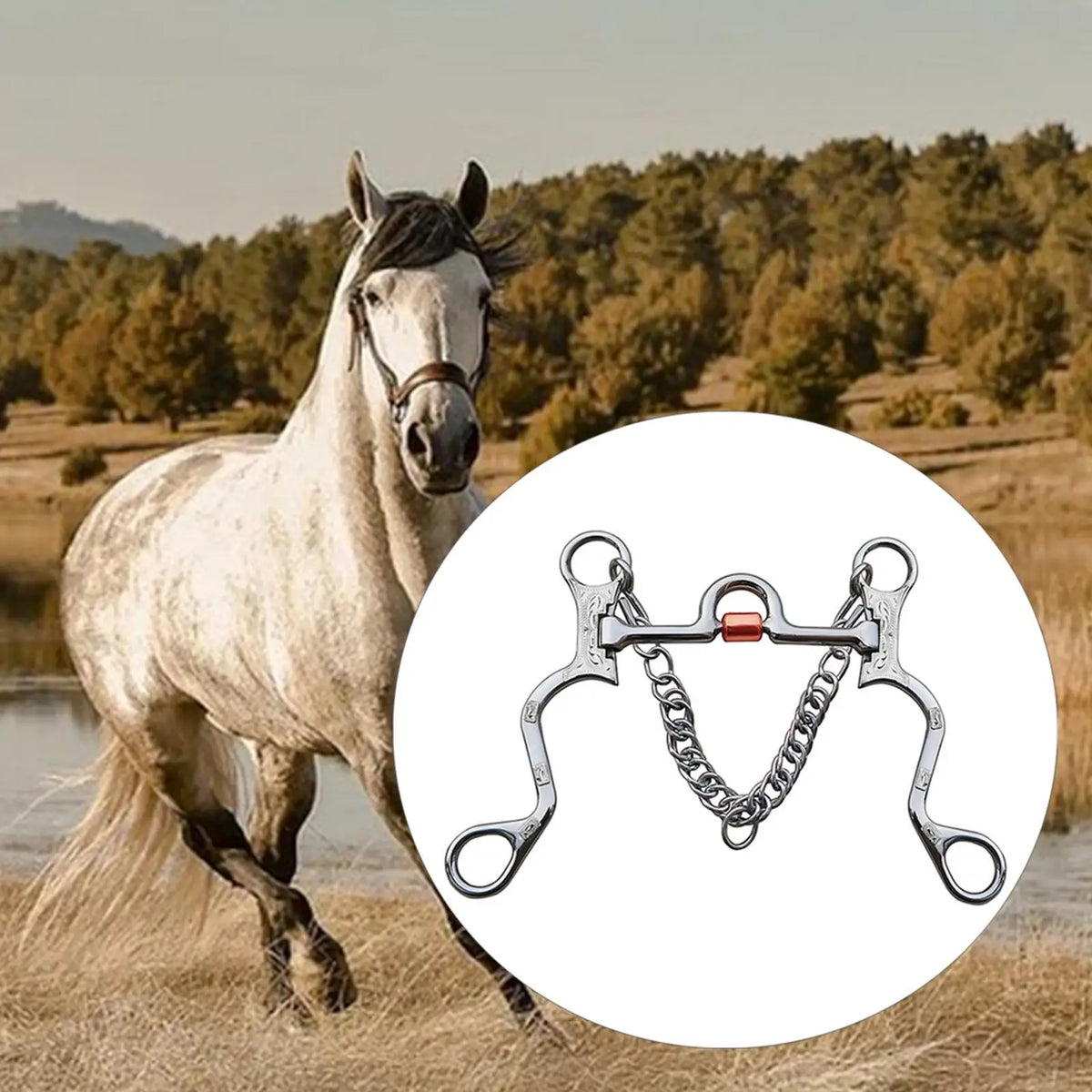 Stainless Steel Horse Bit Copper Mouth for - ProPawPet.com