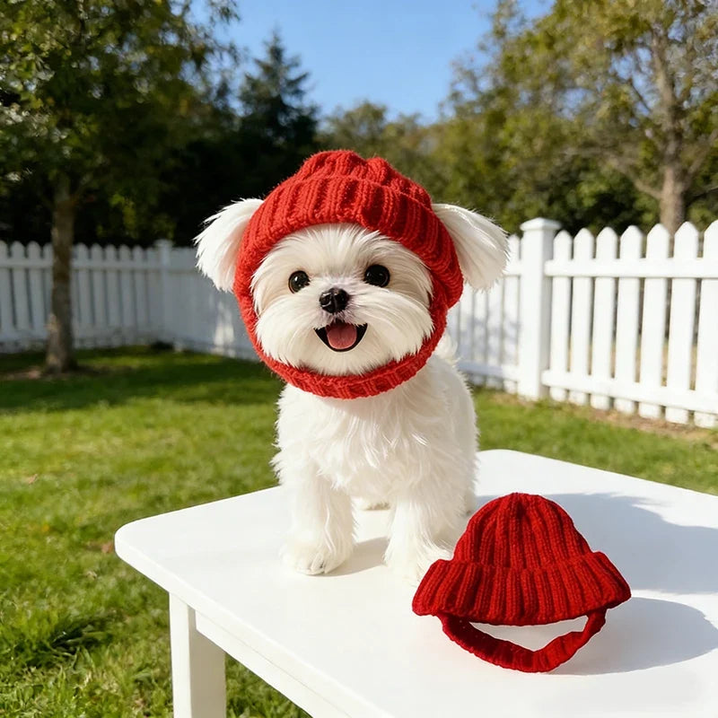 Red Winter Pet Hat Comfortable Warm - ProPawPet.com