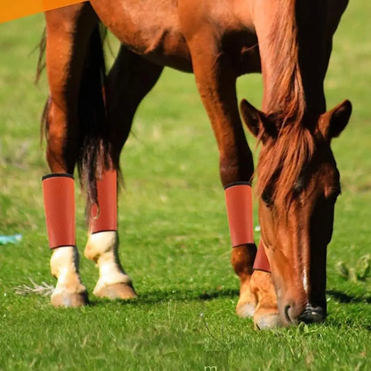 Horse Bite Prevention Boots Fly Protection - ProPawPet.com