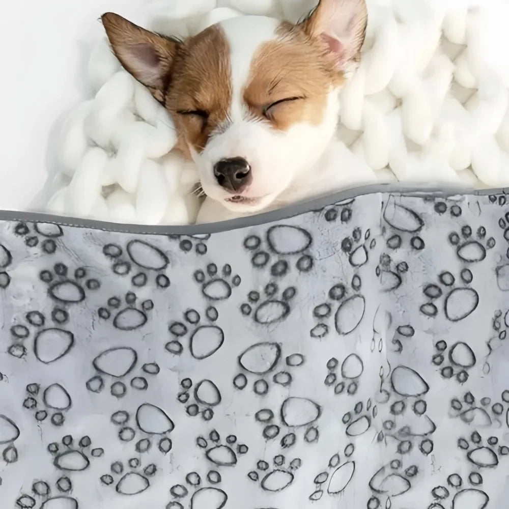 Soft Fluffy Pet Plush Blanket Cute Cartoon - ProPawPet.com
