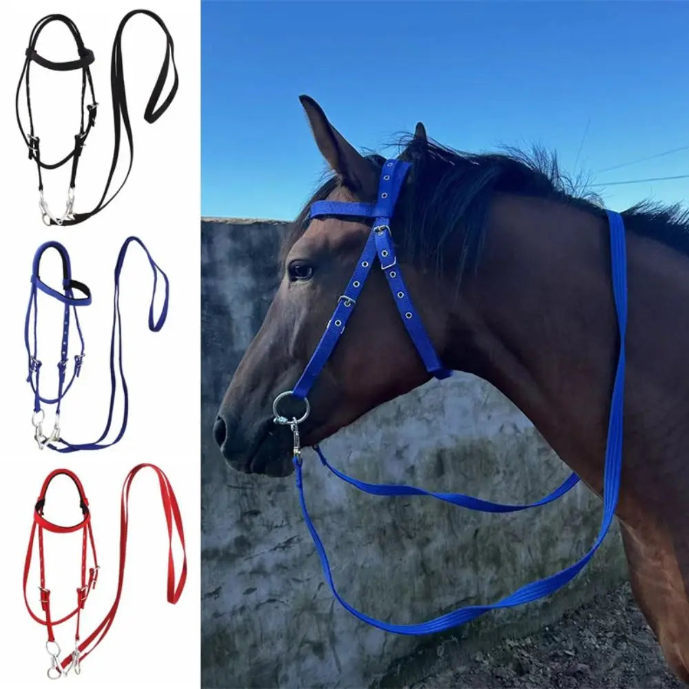 Thickened Horse Halters Comfortable - ProPawPet.com