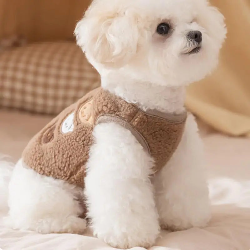 Pet Jacket Clothes For Autumn And Winter - ProPawPet.com