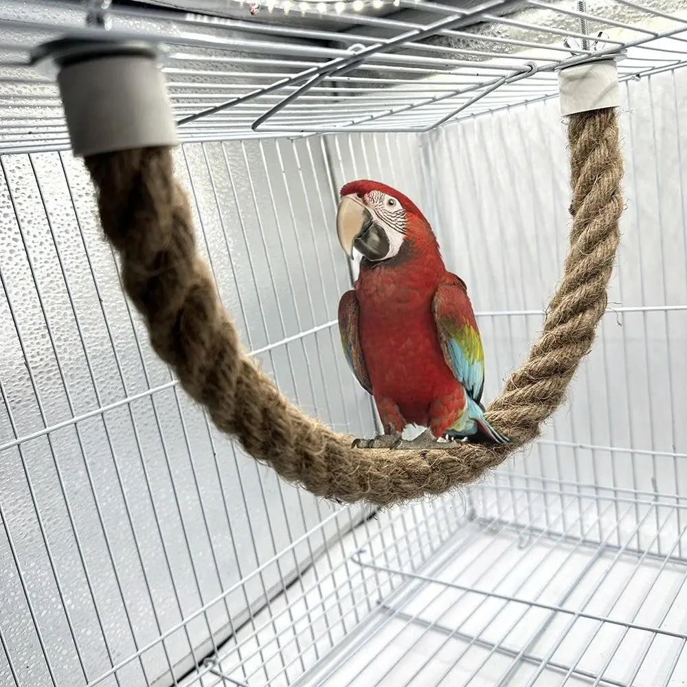 Tooth Grinding Parrot Cotton Rope Pole - ProPawPet.com