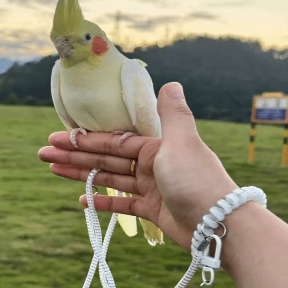 Ultra-light Parrot Training Leash 1.4-4.5m - ProPawPet.com