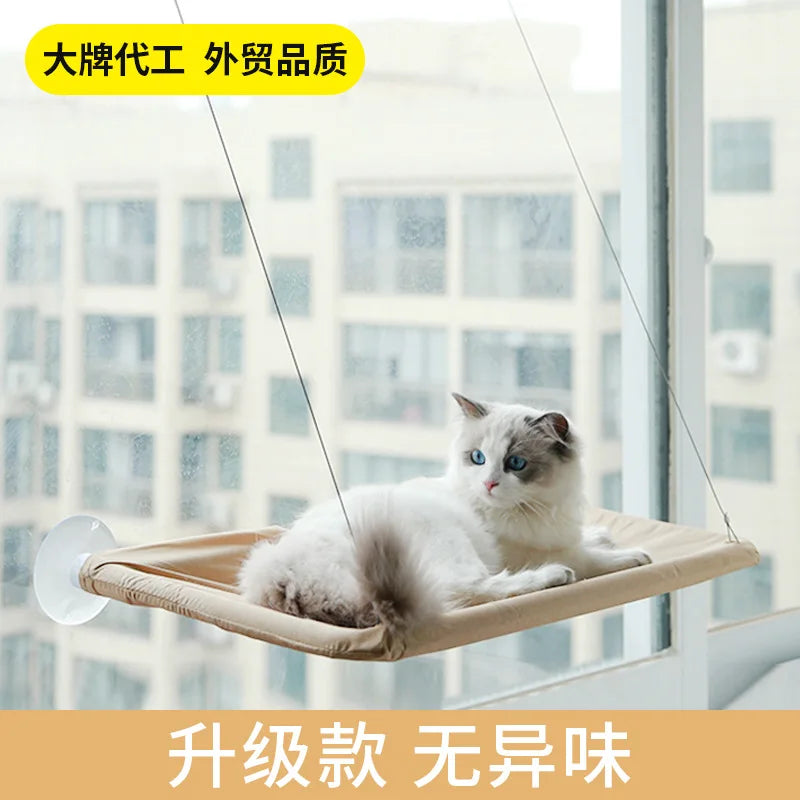 Removable Washable Suction Cup Cat Window - ProPawPet.com